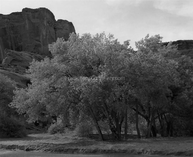 Cottonwoods Canyon De Chelly